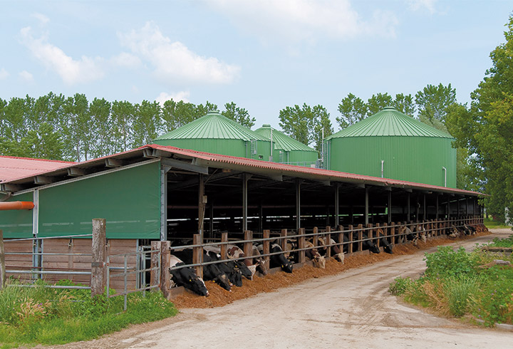 Biogasanlage Landwirtschaft - Lipp System